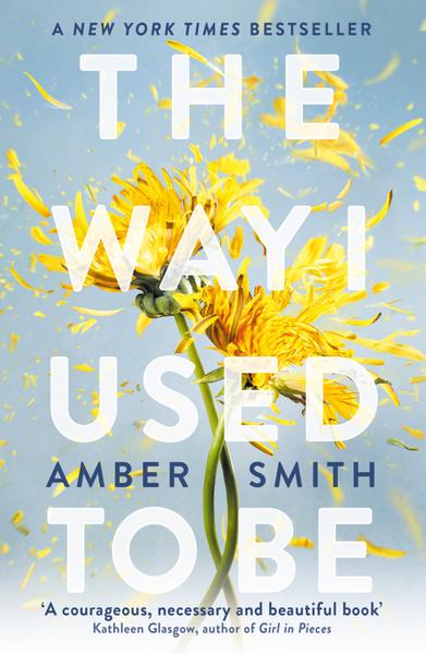 the_way_i_used_to_be_amber_smith