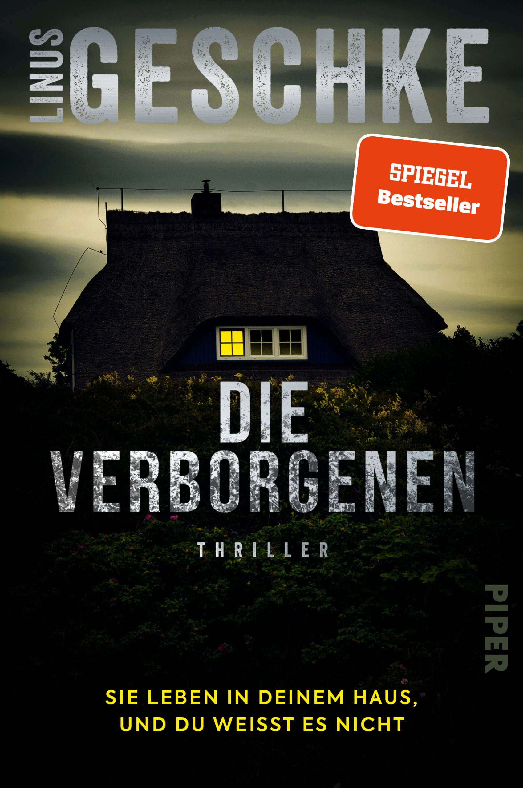 Calipa » Archives Die Verborgenen von Linus Geschke [Hörbuchrezension ...