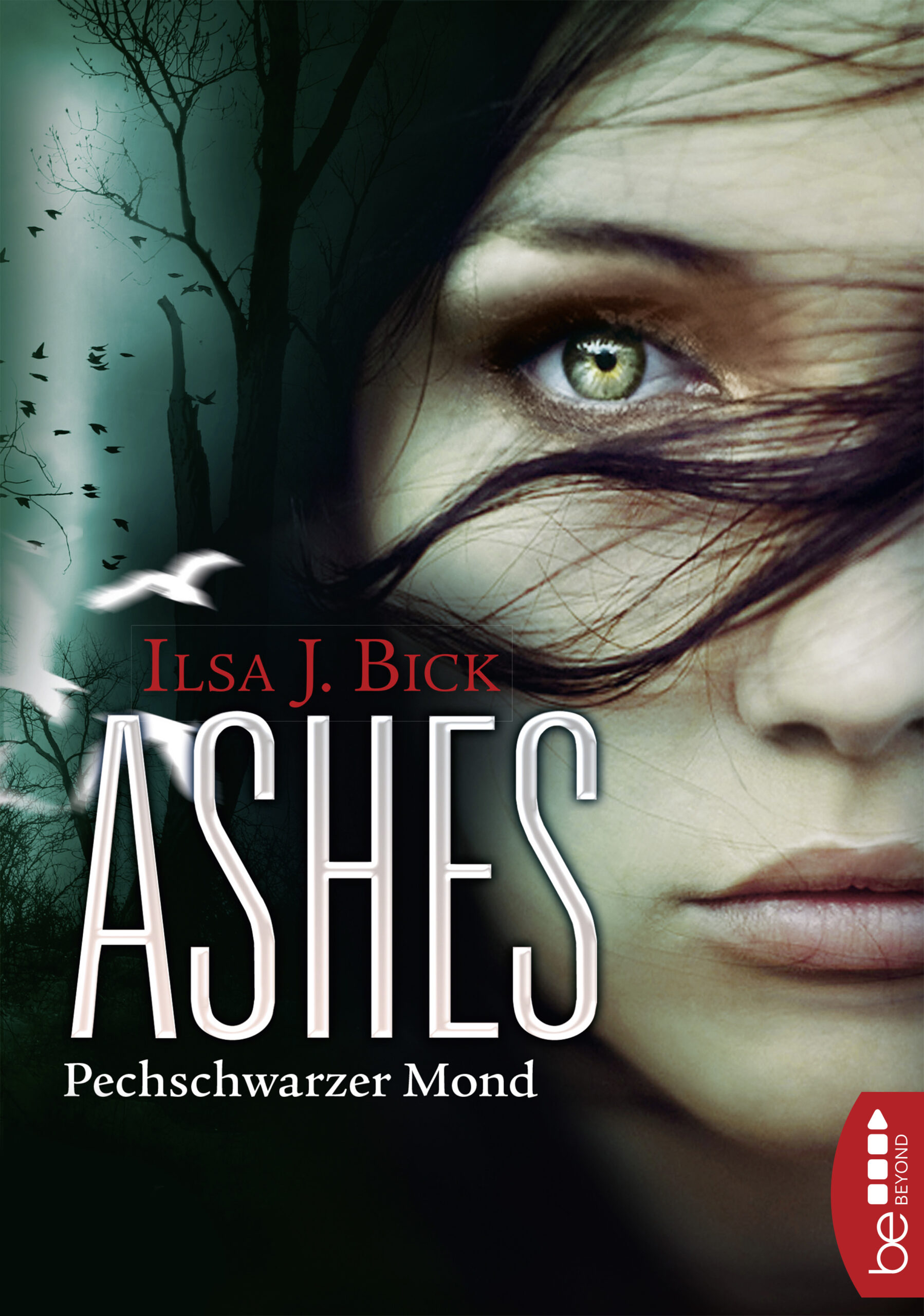 ashes_pechschwarzer_mond_Ilsa_j_bick_3