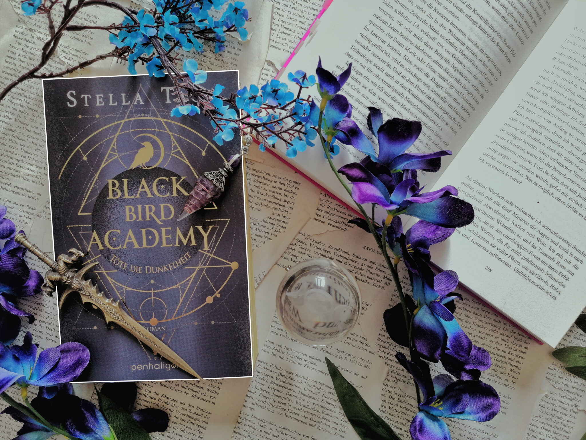 Calipa » Archives Black Bird Academy - Töte die Dunkelheit BD. 1 von ...