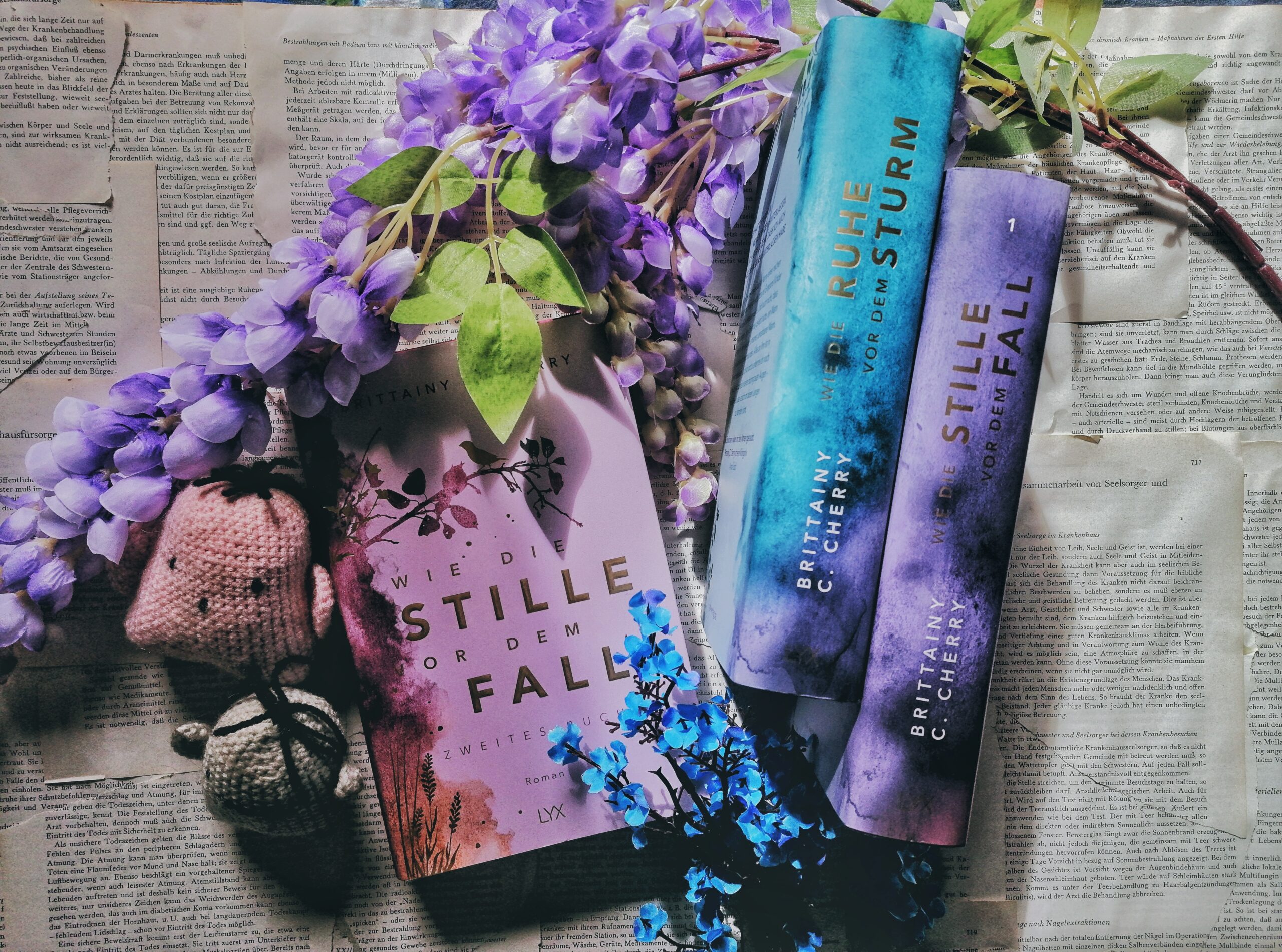 Wie_die_stille_vor_dem_fall_2_brittainy_c_Cherry