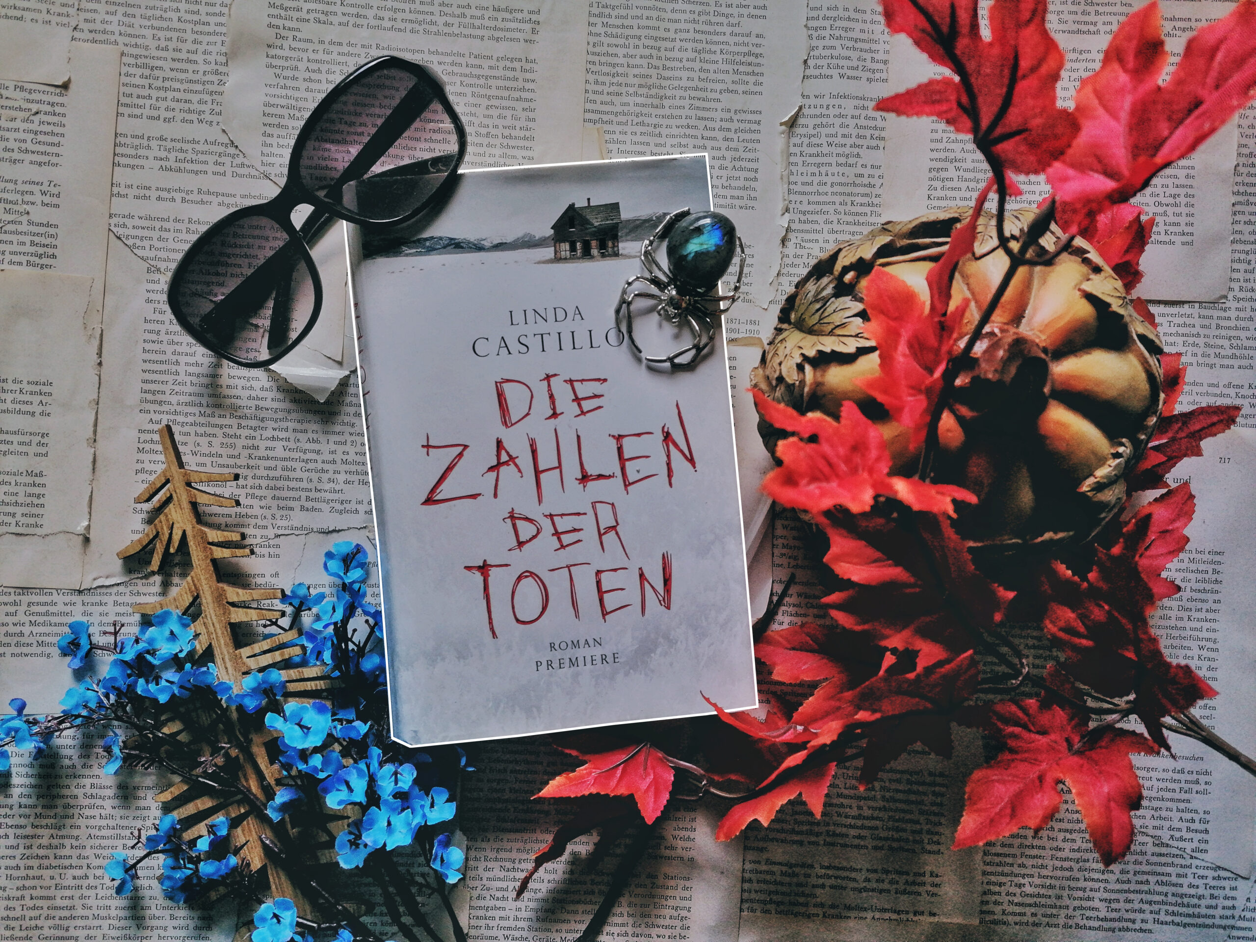 die_zahlen_der_toten_lina_castillo