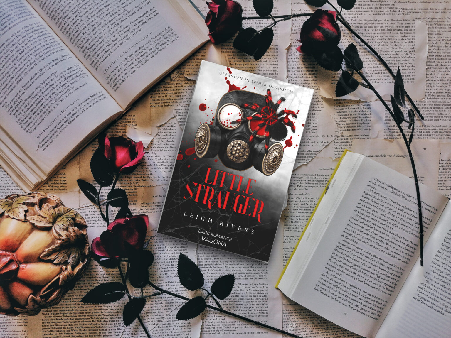 Calipa » Archives Little Stranger von Leigh Rivers [Dark Romance] - Calipa