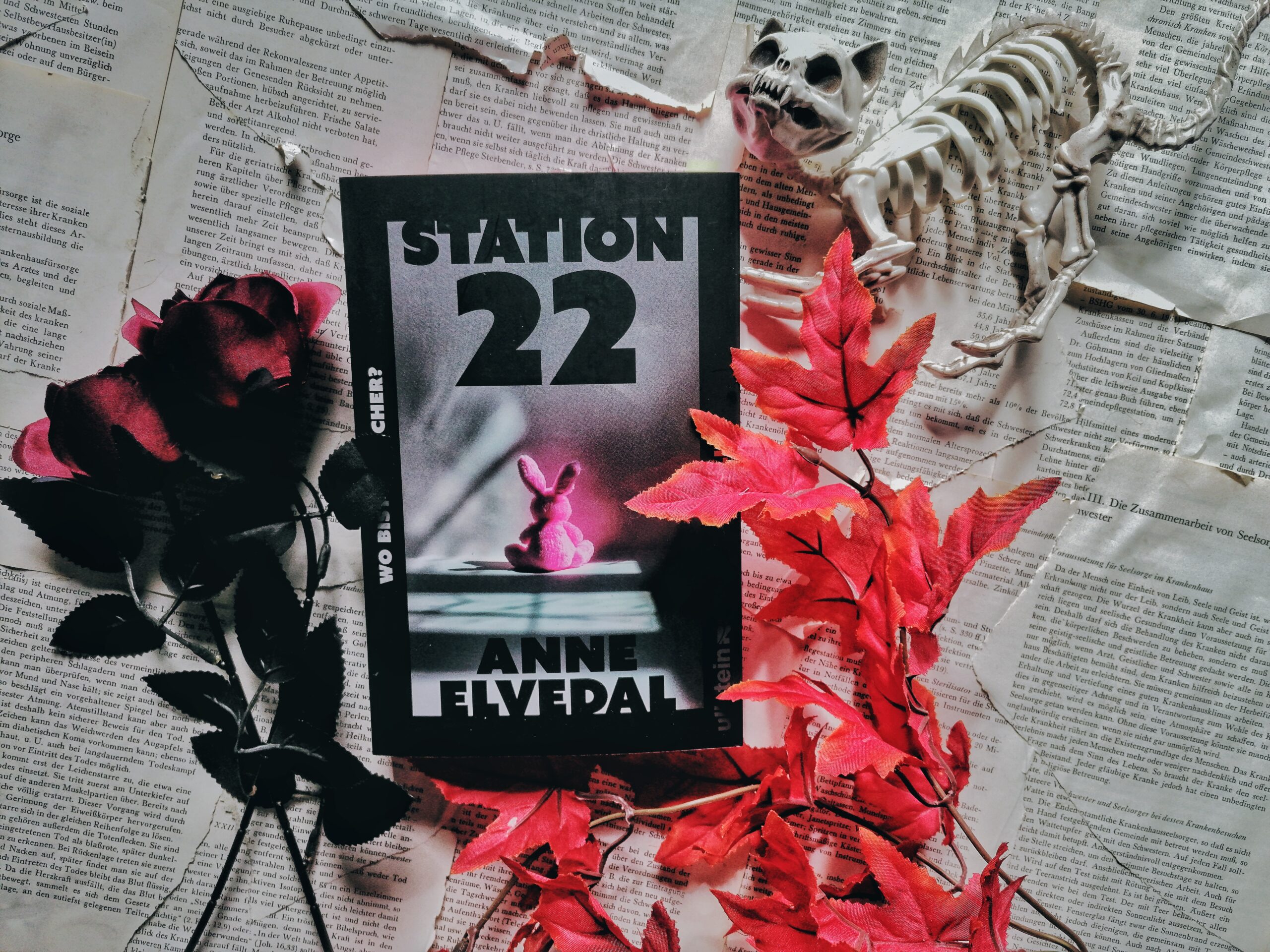 station_22_anne_elvedal